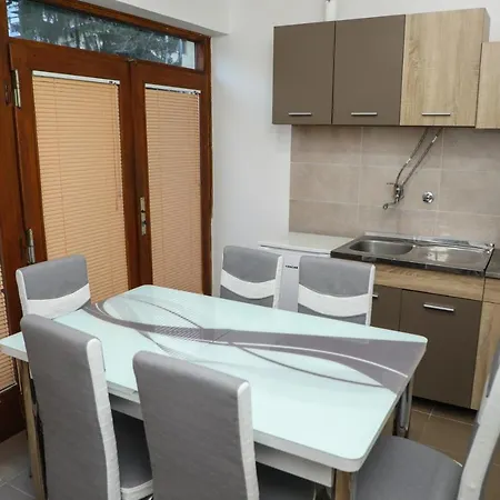 Rajkovic * 소코 반자