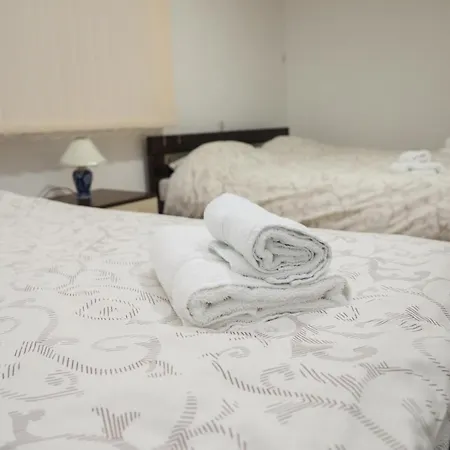 Rajkovic 소코 반자