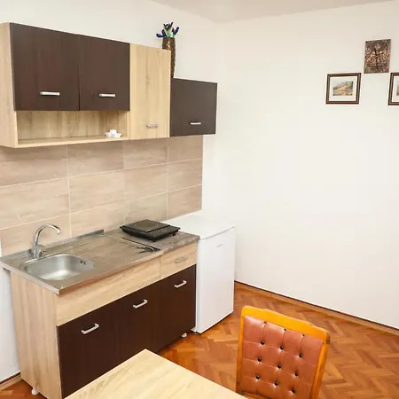 게스트하우스 Rajkovic 소코 반자