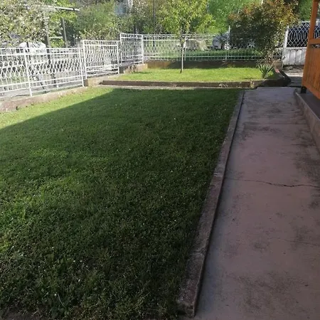 Rajkovic 소코 반자